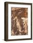 Falling Man Petroglyph, Gold Butte, Nevada, United States of America, North America-James Hager-Framed Photographic Print