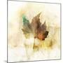 Falling Maple Leaf 1-Ken Roko-Mounted Art Print