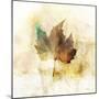 Falling Maple Leaf 1-Ken Roko-Mounted Art Print