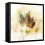 Falling Maple Leaf 1-Ken Roko-Framed Stretched Canvas