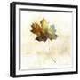 Falling Maple Leaf 2-Ken Roko-Framed Art Print