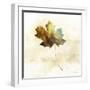 Falling Maple Leaf 2-Ken Roko-Framed Art Print
