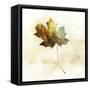 Falling Maple Leaf 2-Ken Roko-Framed Stretched Canvas