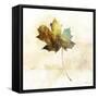 Falling Maple Leaf 2-Ken Roko-Framed Stretched Canvas