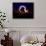 Falling Moon-Julie Fain-Mounted Art Print displayed on a wall