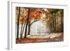 Falling Oak Leaves on the Scenic Autumn Forest Illuminated by Morning Sun-Mny-Jhee-Framed Photographic Print