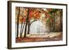 Falling Oak Leaves on the Scenic Autumn Forest Illuminated by Morning Sun-Mny-Jhee-Framed Photographic Print