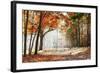 Falling Oak Leaves on the Scenic Autumn Forest Illuminated by Morning Sun-Mny-Jhee-Framed Photographic Print
