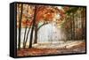 Falling Oak Leaves on the Scenic Autumn Forest Illuminated by Morning Sun-Mny-Jhee-Framed Stretched Canvas