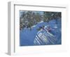 Falling Off the Sledge, Morzine-Andrew Macara-Framed Premium Giclee Print