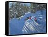 Falling Off the Sledge, Morzine-Andrew Macara-Framed Stretched Canvas