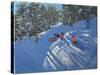 Falling Off the Sledge, Morzine-Andrew Macara-Stretched Canvas