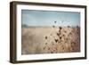 Falling Queen Annes Lace I Crop-Elizabeth Urquhart-Framed Photo