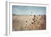 Falling Queen Annes Lace I Crop-Elizabeth Urquhart-Framed Photo