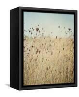 Falling Queen Annes Lace II Crop-Elizabeth Urquhart-Framed Stretched Canvas