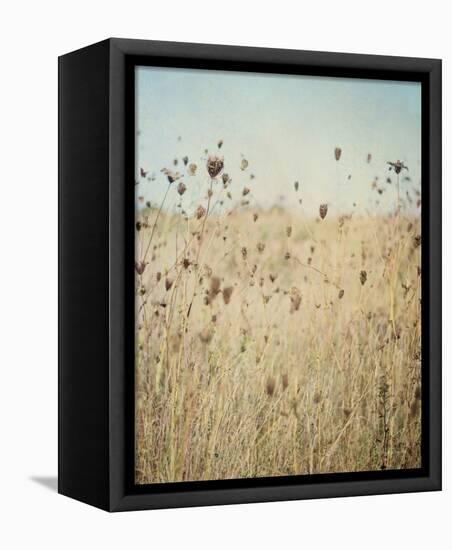 Falling Queen Annes Lace II Crop-Elizabeth Urquhart-Framed Stretched Canvas