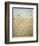 Falling Queen Annes Lace II Crop-Elizabeth Urquhart-Framed Photographic Print