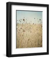 Falling Queen Annes Lace II Crop-Elizabeth Urquhart-Framed Photographic Print