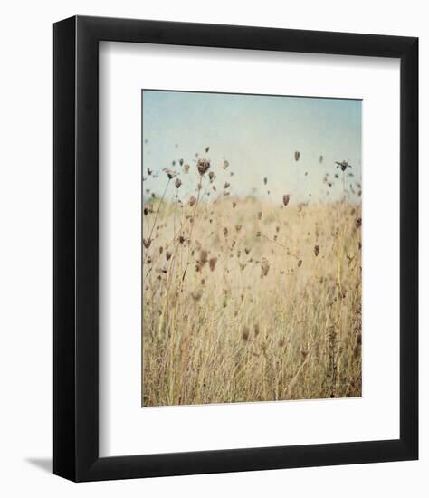 Falling Queen Annes Lace II Crop-Elizabeth Urquhart-Framed Photographic Print