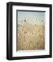 Falling Queen Annes Lace II Crop-Elizabeth Urquhart-Framed Photographic Print