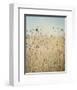 Falling Queen Annes Lace II Crop-Elizabeth Urquhart-Framed Photographic Print