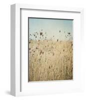 Falling Queen Annes Lace II Crop-Elizabeth Urquhart-Framed Photo