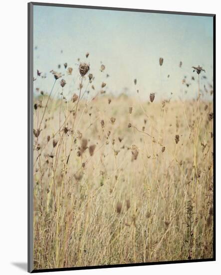 Falling Queen Annes Lace II Crop-Elizabeth Urquhart-Mounted Photo