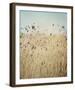 Falling Queen Annes Lace II Crop-Elizabeth Urquhart-Framed Photo