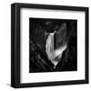 Falling Rivers-null-Framed Premium Giclee Print