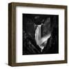 Falling Rivers-null-Framed Premium Giclee Print