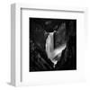 Falling Rivers-null-Framed Premium Giclee Print