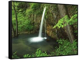 Falling Spring, Mark Twain National Forest, Missouri, USA-Charles Gurche-Framed Stretched Canvas