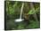 Falling Spring, Mark Twain National Forest, Missouri, USA-Charles Gurche-Framed Stretched Canvas