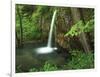 Falling Spring, Mark Twain National Forest, Missouri, USA-Charles Gurche-Framed Photographic Print