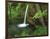 Falling Spring, Mark Twain National Forest, Missouri, USA-Charles Gurche-Framed Photographic Print