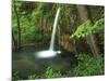 Falling Spring, Mark Twain National Forest, Missouri, USA-Charles Gurche-Mounted Photographic Print