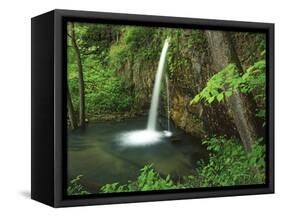 Falling Spring, Mark Twain National Forest, Missouri, USA-Charles Gurche-Framed Stretched Canvas