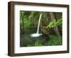 Falling Spring, Mark Twain National Forest, Missouri, USA-Charles Gurche-Framed Photographic Print