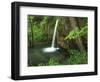 Falling Spring, Mark Twain National Forest, Missouri, USA-Charles Gurche-Framed Photographic Print