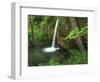 Falling Spring, Mark Twain National Forest, Missouri, USA-Charles Gurche-Framed Photographic Print