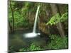 Falling Spring, Mark Twain National Forest, Missouri, USA-Charles Gurche-Mounted Photographic Print