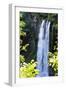 Falling Springs I-Alan Hausenflock-Framed Photographic Print