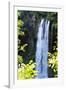 Falling Springs I-Alan Hausenflock-Framed Photographic Print