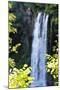 Falling Springs I-Alan Hausenflock-Mounted Photographic Print