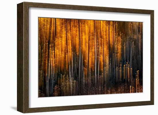 Falling Stars-Ursula Abresch-Framed Photographic Print