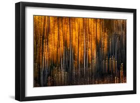 Falling Stars-Ursula Abresch-Framed Photographic Print