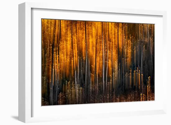 Falling Stars-Ursula Abresch-Framed Photographic Print