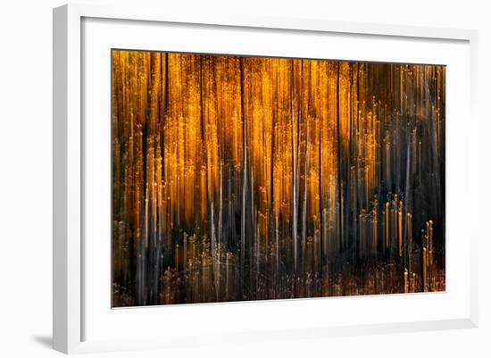 Falling Stars-Ursula Abresch-Framed Photographic Print