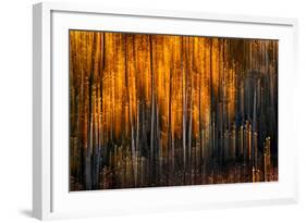 Falling Stars-Ursula Abresch-Framed Photographic Print