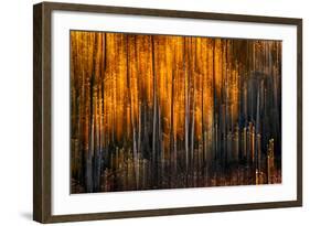 Falling Stars-Ursula Abresch-Framed Photographic Print